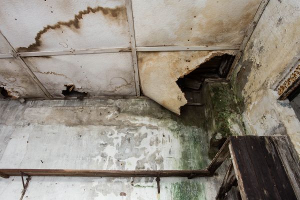 Water Damage Service in Hialeah