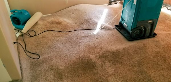 Flood Damage Cleanup in Hialeah