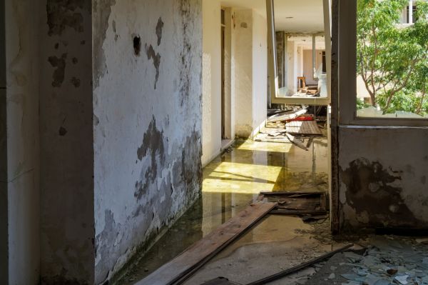 Water Removal Service in Hialeah