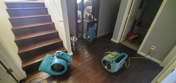 Water Damage Remediation in Hialeah