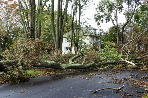 Tornado Damage Repair in Hialeah