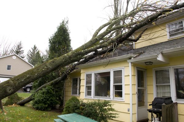 Hurricane Damage Repair in Hialeah